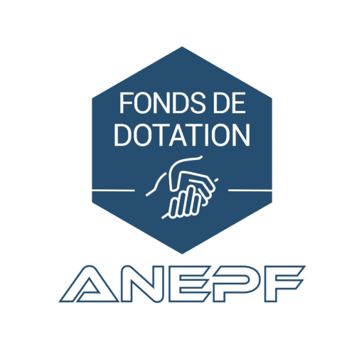 FONDS DE DOTATION DE L'Association Nationale des Étudiants en Pharmacie de France